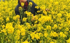 2019一本大道香蕉大在线